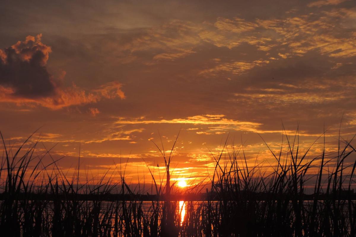 Sunset from Court Road