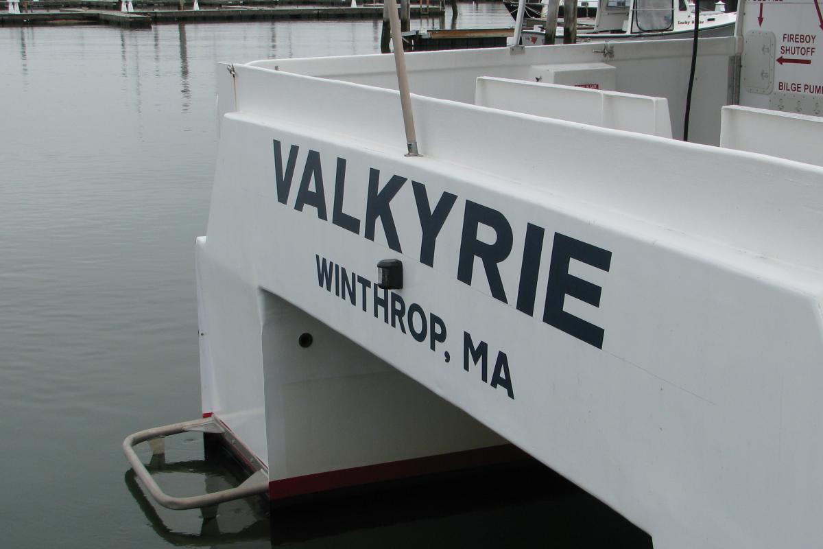 Valkyrie - Winthrop, MA