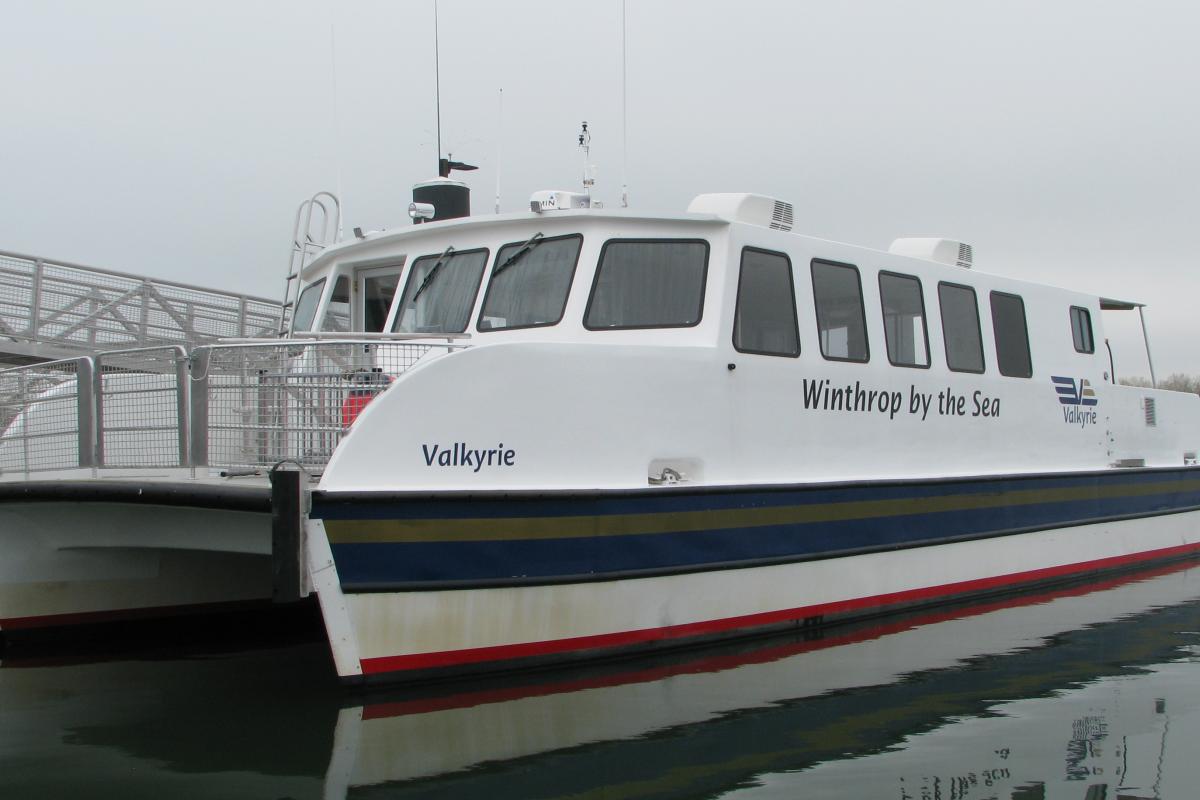 Valkyrie in the water