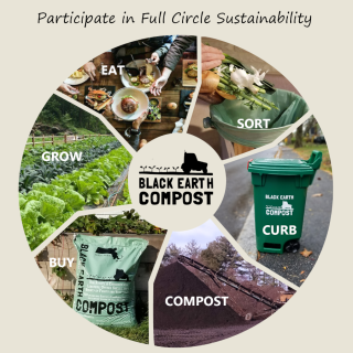 Full Circle Sustainability